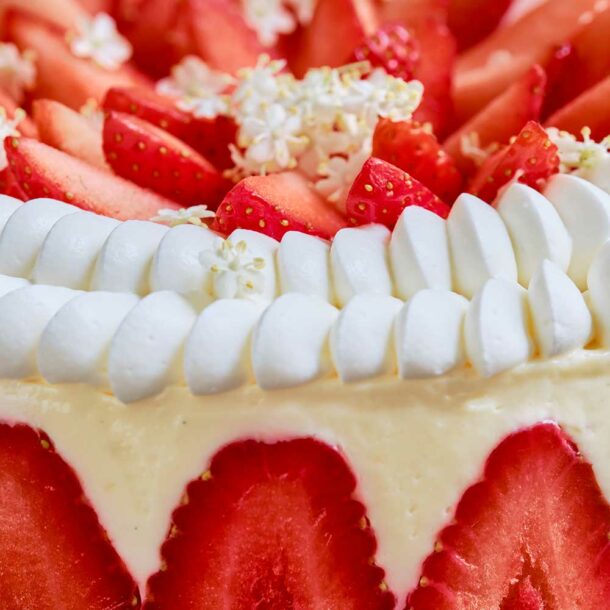 Le Fraisier par Nina Métayer