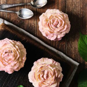 Fleur fraise rhubarbe sureau par Nina Métayer